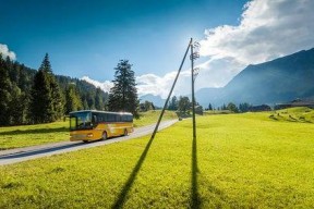 青青草国产线观