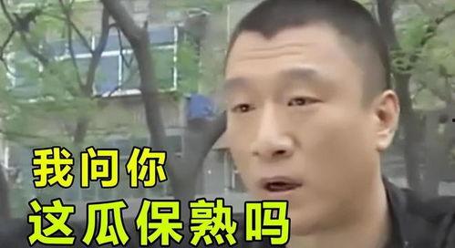 吃瓜娱乐圈陶虹,娱乐圈的瓜田瓜语，揭秘明星背后的故事